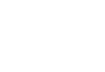 Logo White